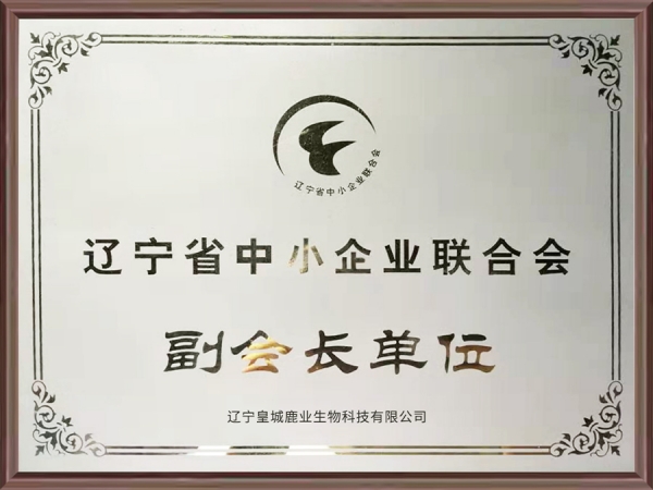 副会长单位