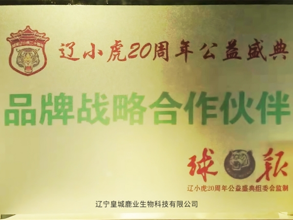 战略合作伙伴