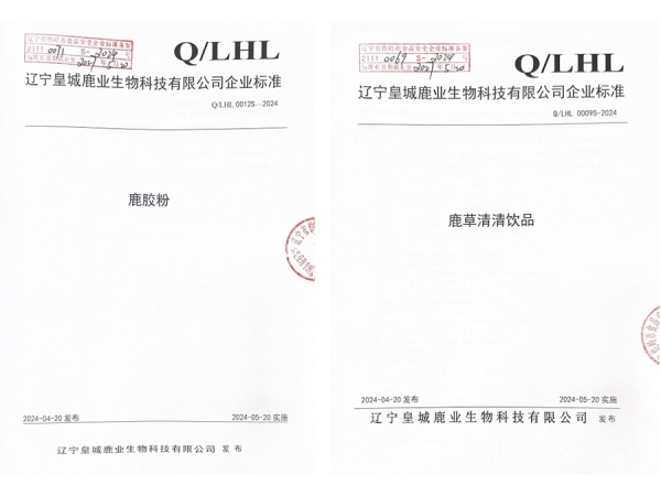 企业标准