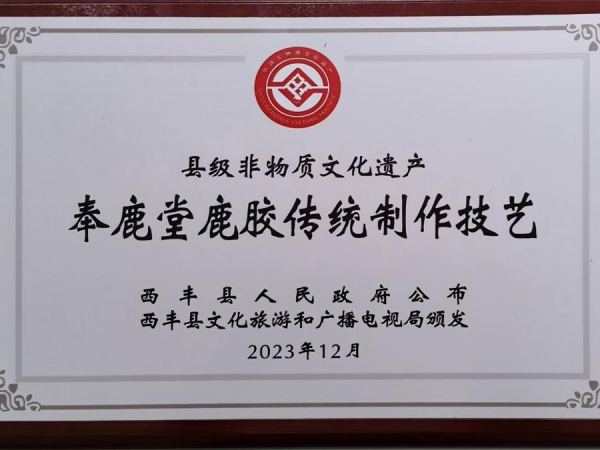 县级非物质文化遗产
