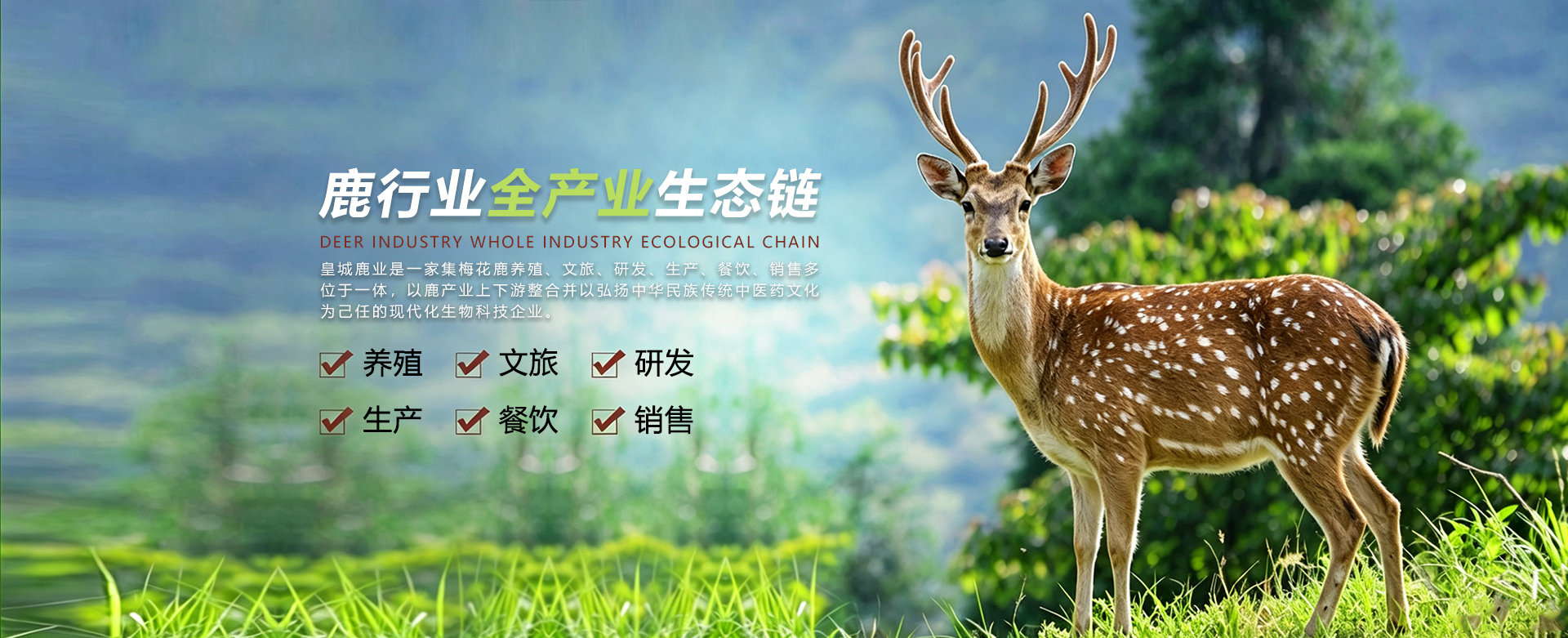 鹿胶价格